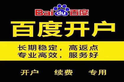 Sem优化公司实例：电商流量提升策略